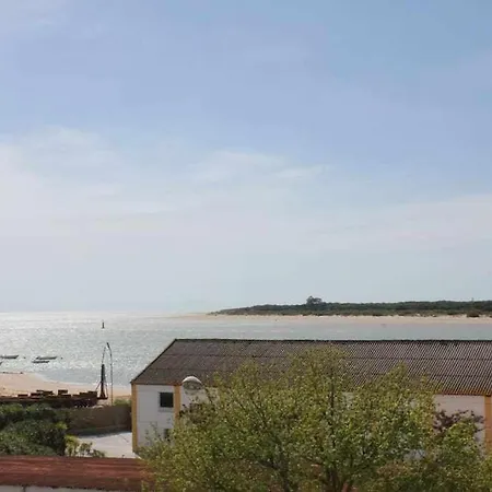 Monkeys Sanlucar Relax